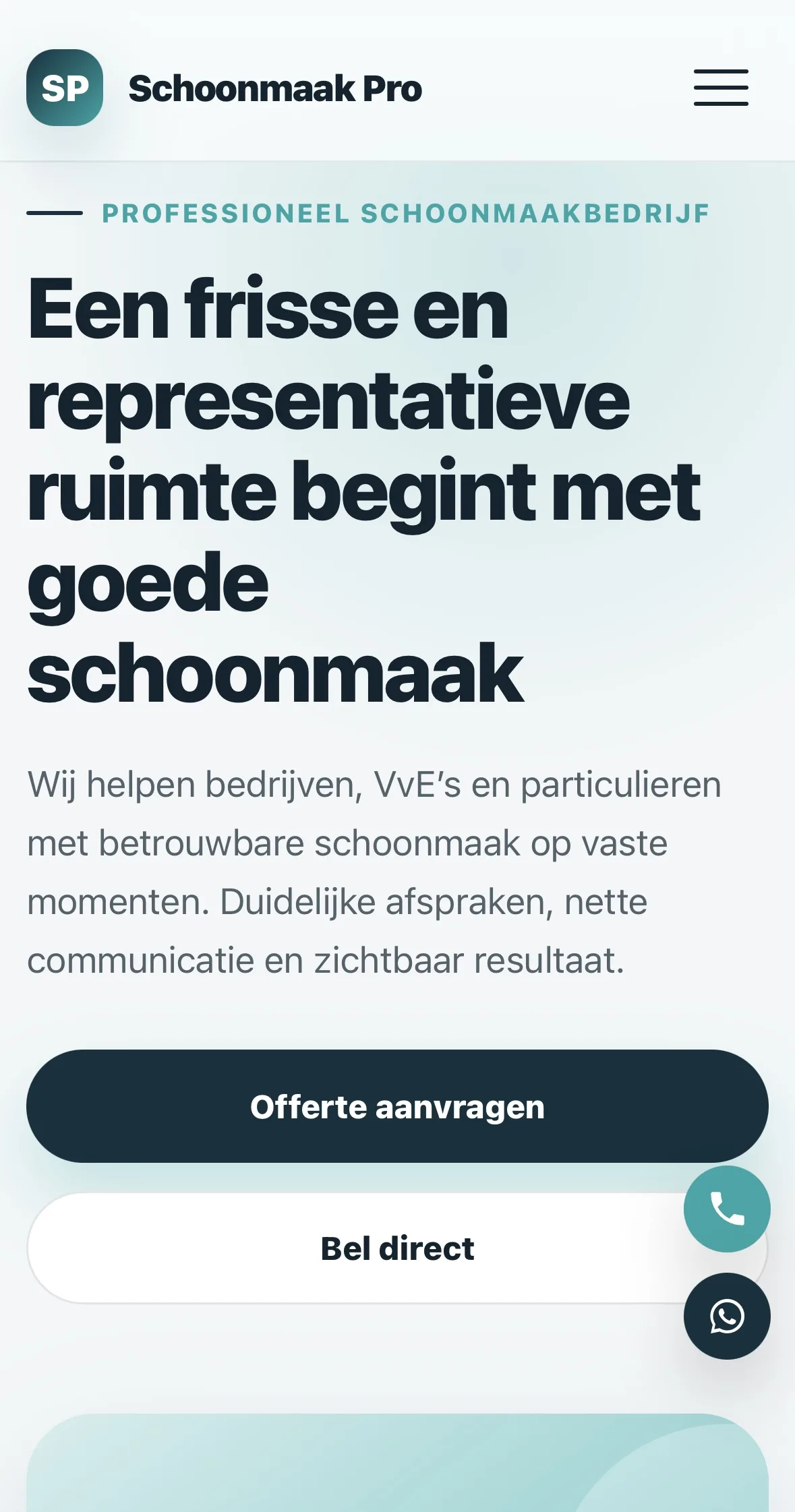 Schoonmaak website